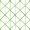 BOX KITE T10138
